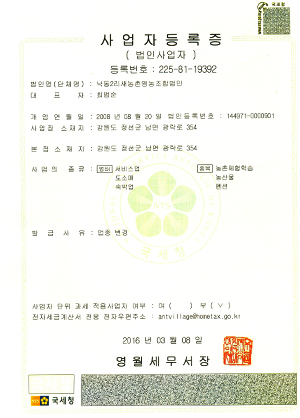 개미들사랑 증서